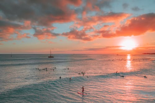 People on Beach During Sunset