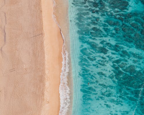 Aerial View of a Beach