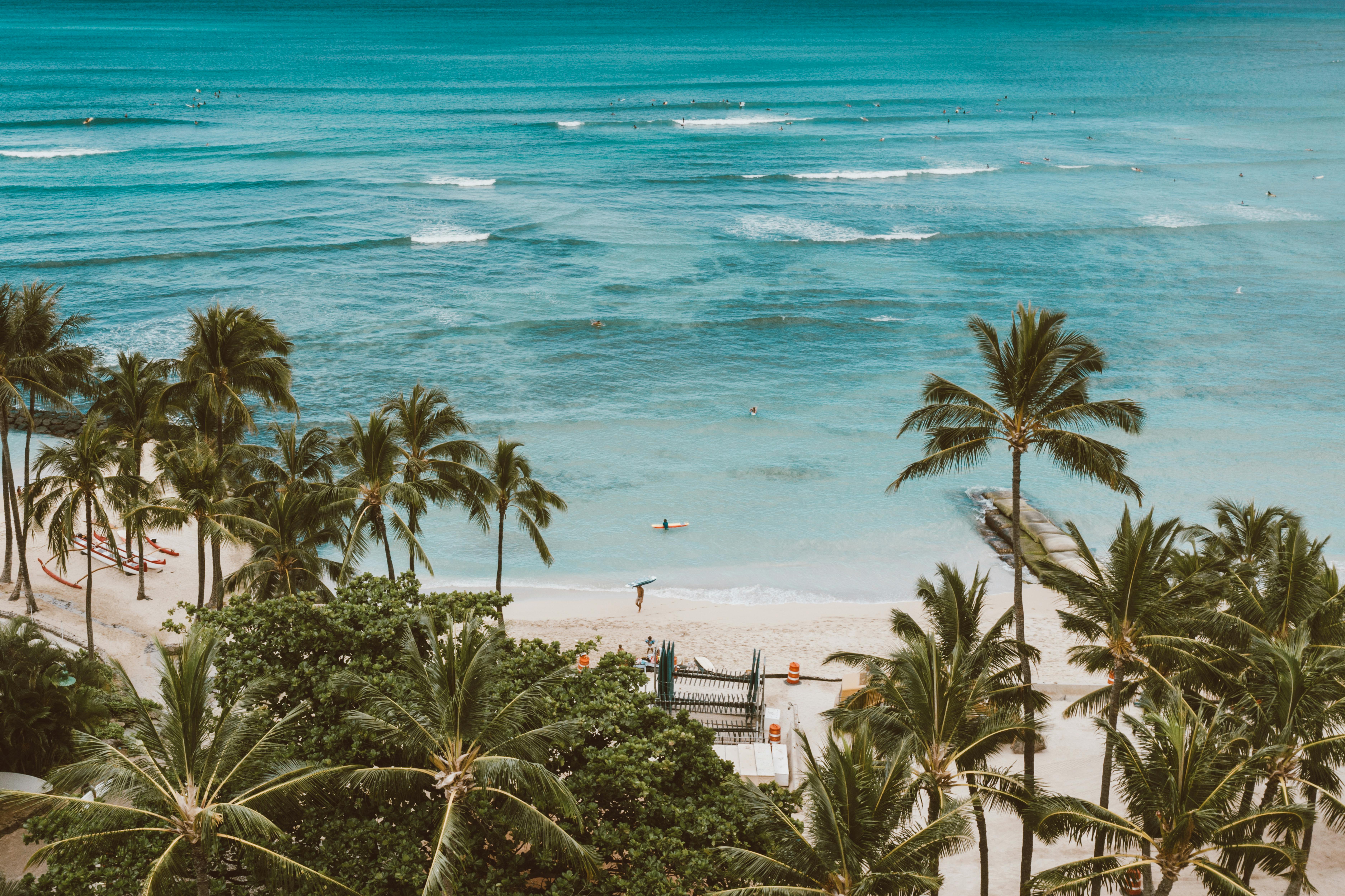 这是一张令人惊叹的航拍照片，拍摄的热带海滩有棕榈树和碧绿海水，非常适合度假灵感