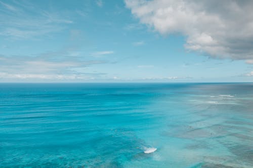 天性, 海景, 海洋 的 免费素材图片