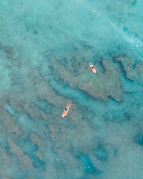 Fotobanka s bezplatnými fotkami na tému more, surferi, surfovacia doska