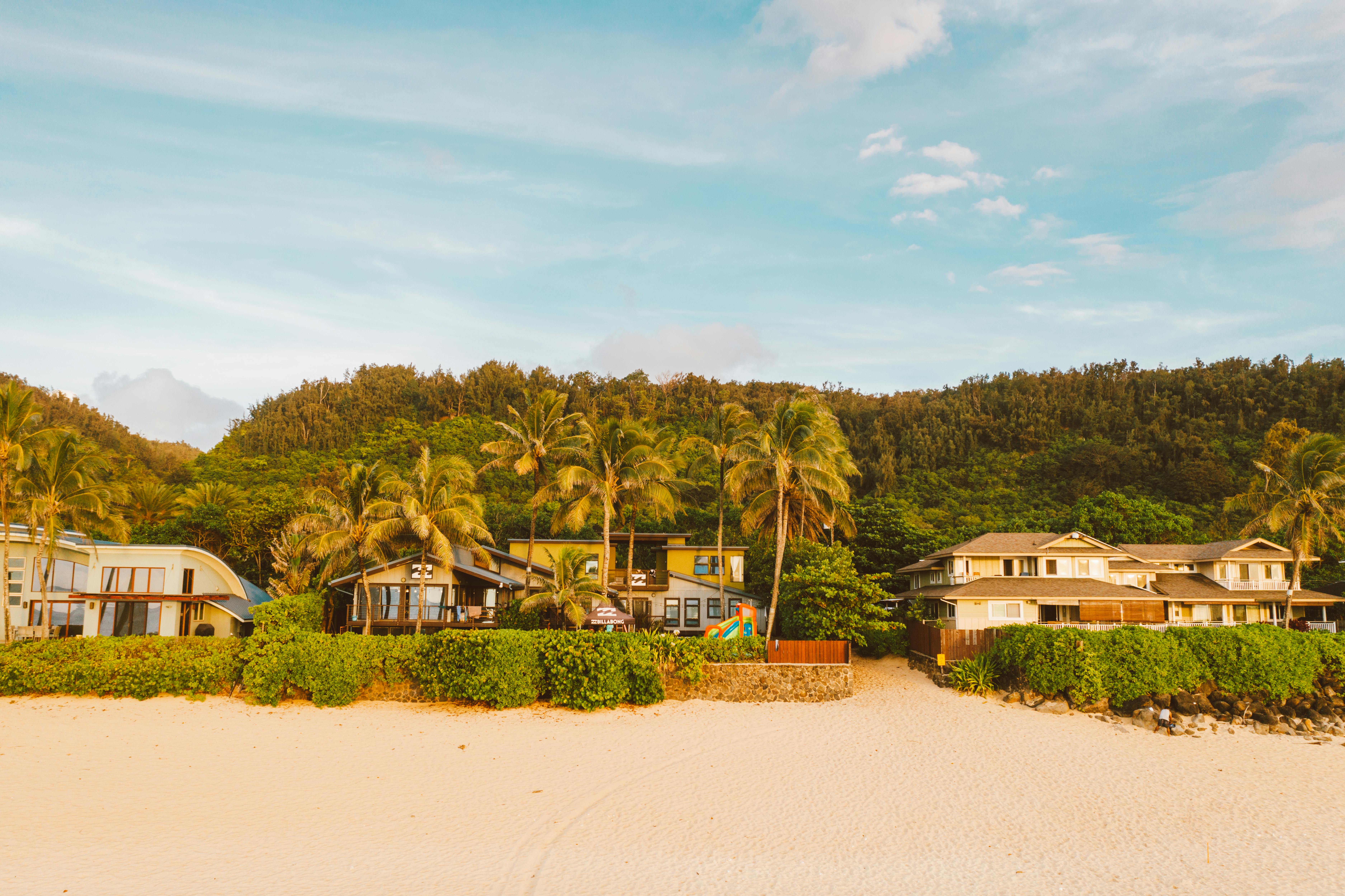 Beautiful beachfront villas with palm trees on a sandy coastline in Zanzibar