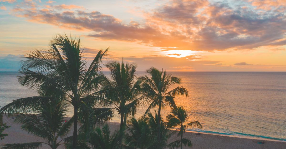 How to Spot the Best Cheap Travel Offers for Your Next Holiday