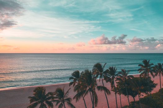 Peaceful beach scene with palm trees and a vibrant sunset sky.