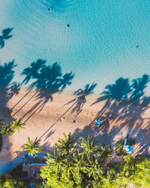 Free Aerial View of a Beach Near Coconut Trees Stock Photo