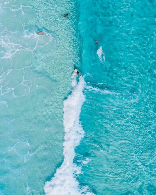 People Surfing on Turquoise Sea