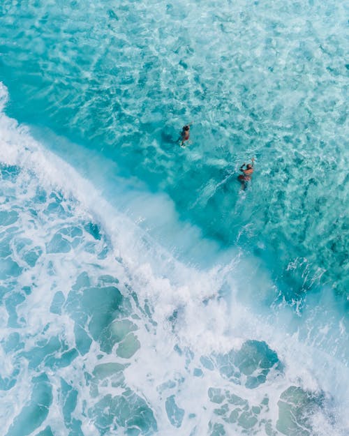 Free An Aerial Shot of People Swimming on the Ocean Stock Photo