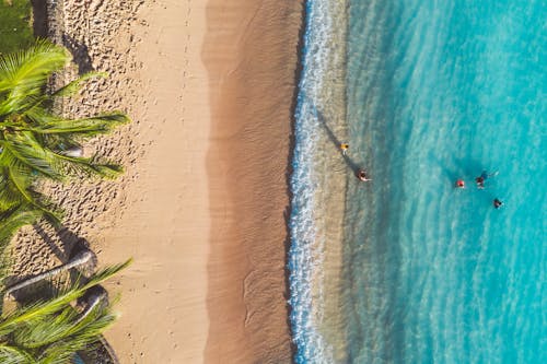 Free An Aerial Shot of People at the Beach Stock Photo