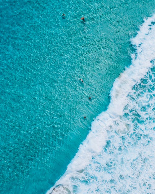 Free An Aerial Shot of People Swimming on the Ocean Stock Photo