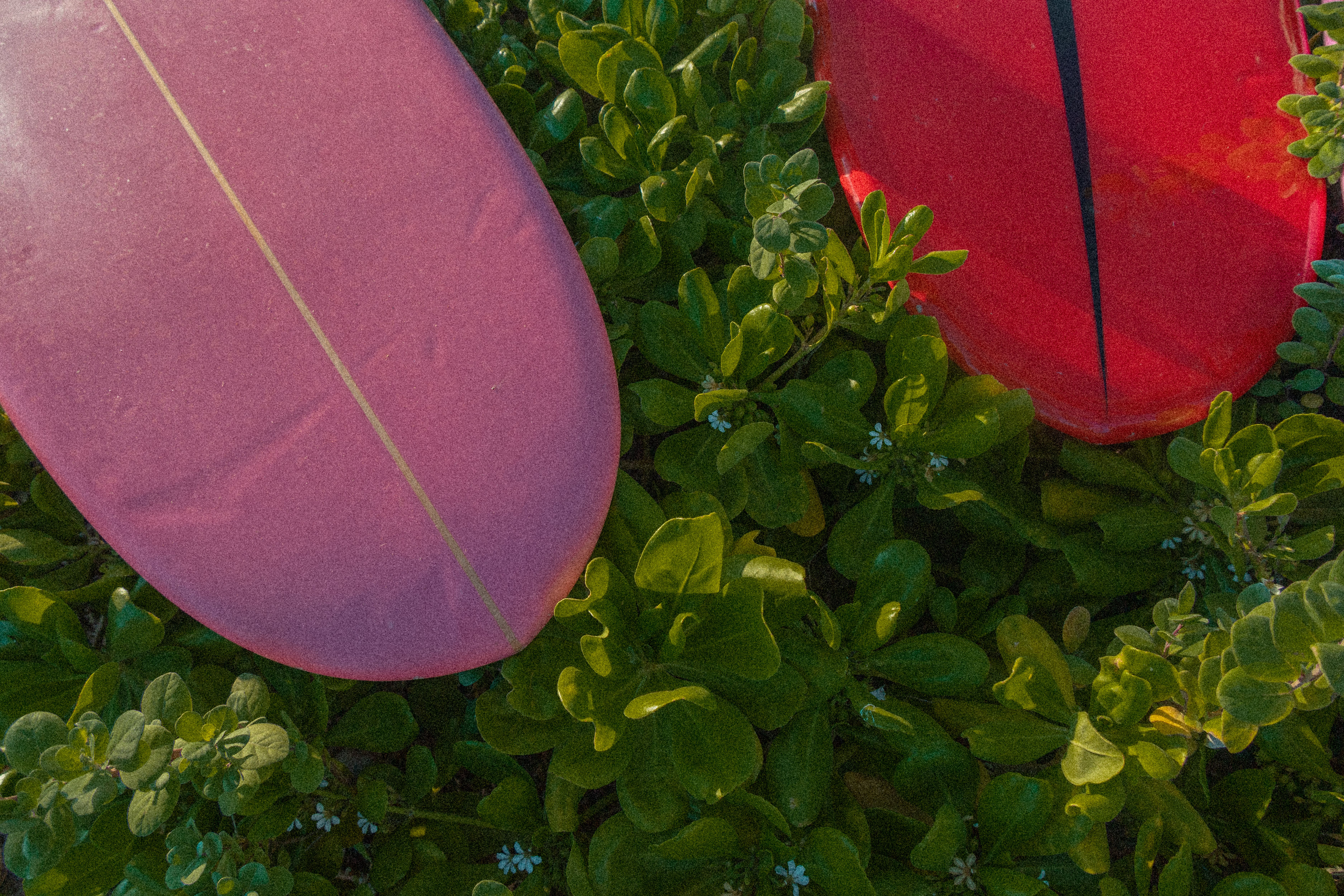 Close-up of wall anchor installation for surfboard rack mounting