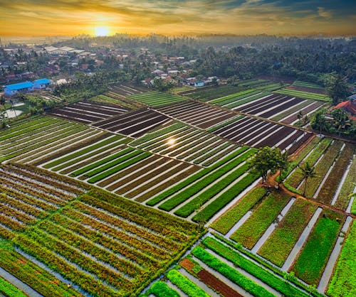 Δωρεάν στοκ φωτογραφιών με αγροτικός, αεροφωτογράφιση, Ανατολή ηλίου