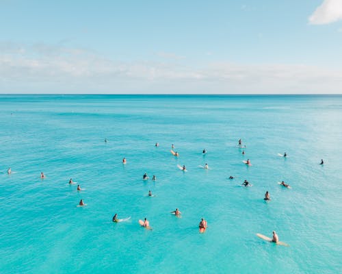 Free People Sitting on Surfboards on Sea Stock Photo