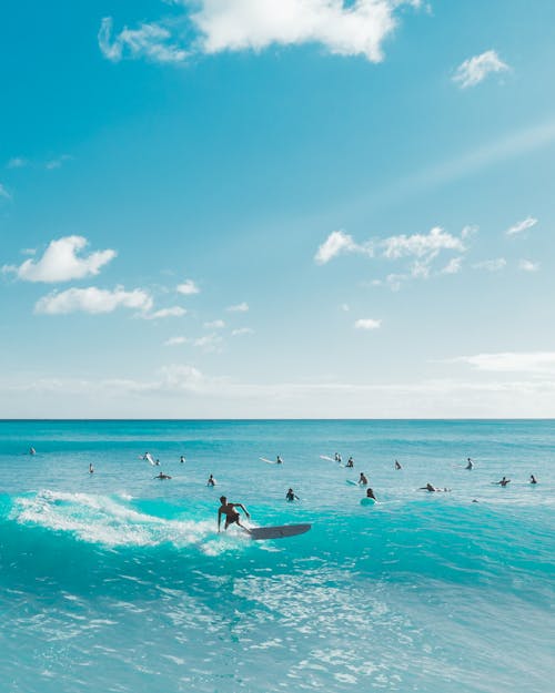 People Surfing on Waves on Sea