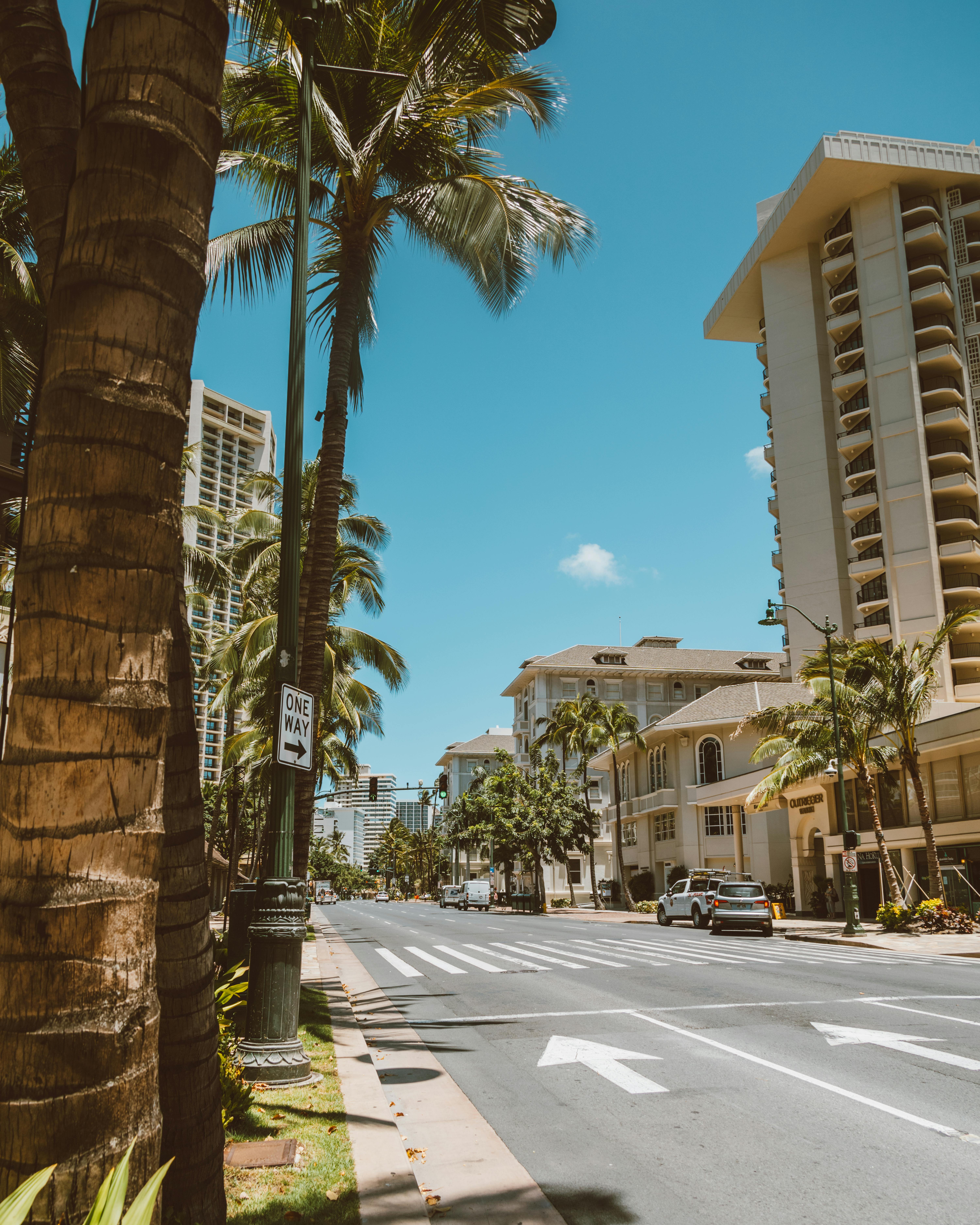 晴朗的天空下，街道两旁现代建筑林立，明亮的城市景观与棕榈树交相辉映