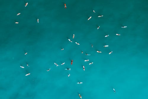 People Surfing on Sea