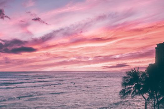 Captivating ocean sunset with vivid pink and purple skies and silhouette of palm trees.