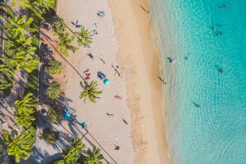 Aerial View of People on Beach Shore