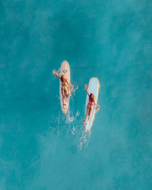 Photos gratuites de amusement, bikini, eaux bleues