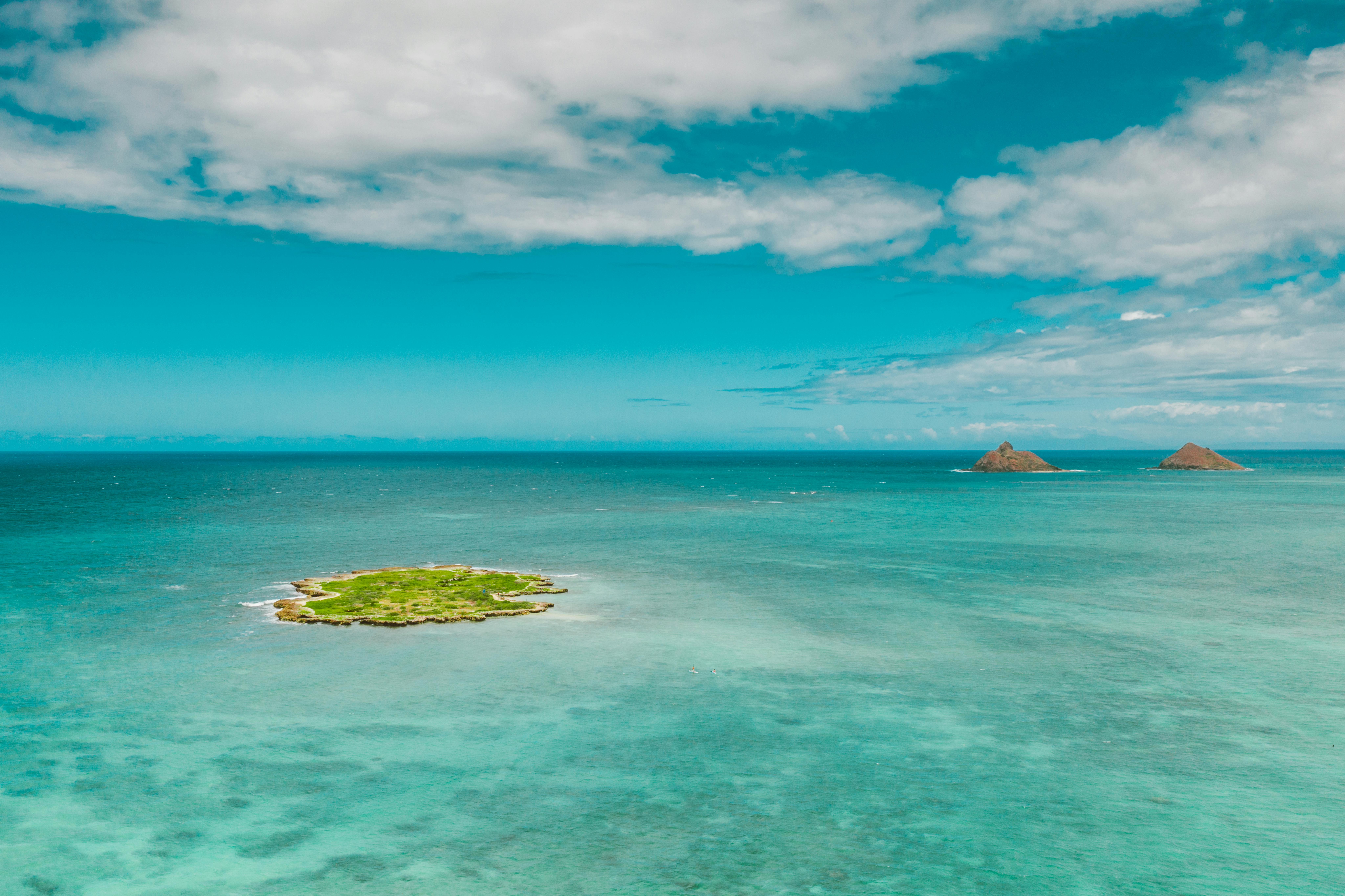 Pokémon Pokopia: Best Cloud Islands &amp; Developer Island Codes — Photo by Jess Loiterton on Pexels