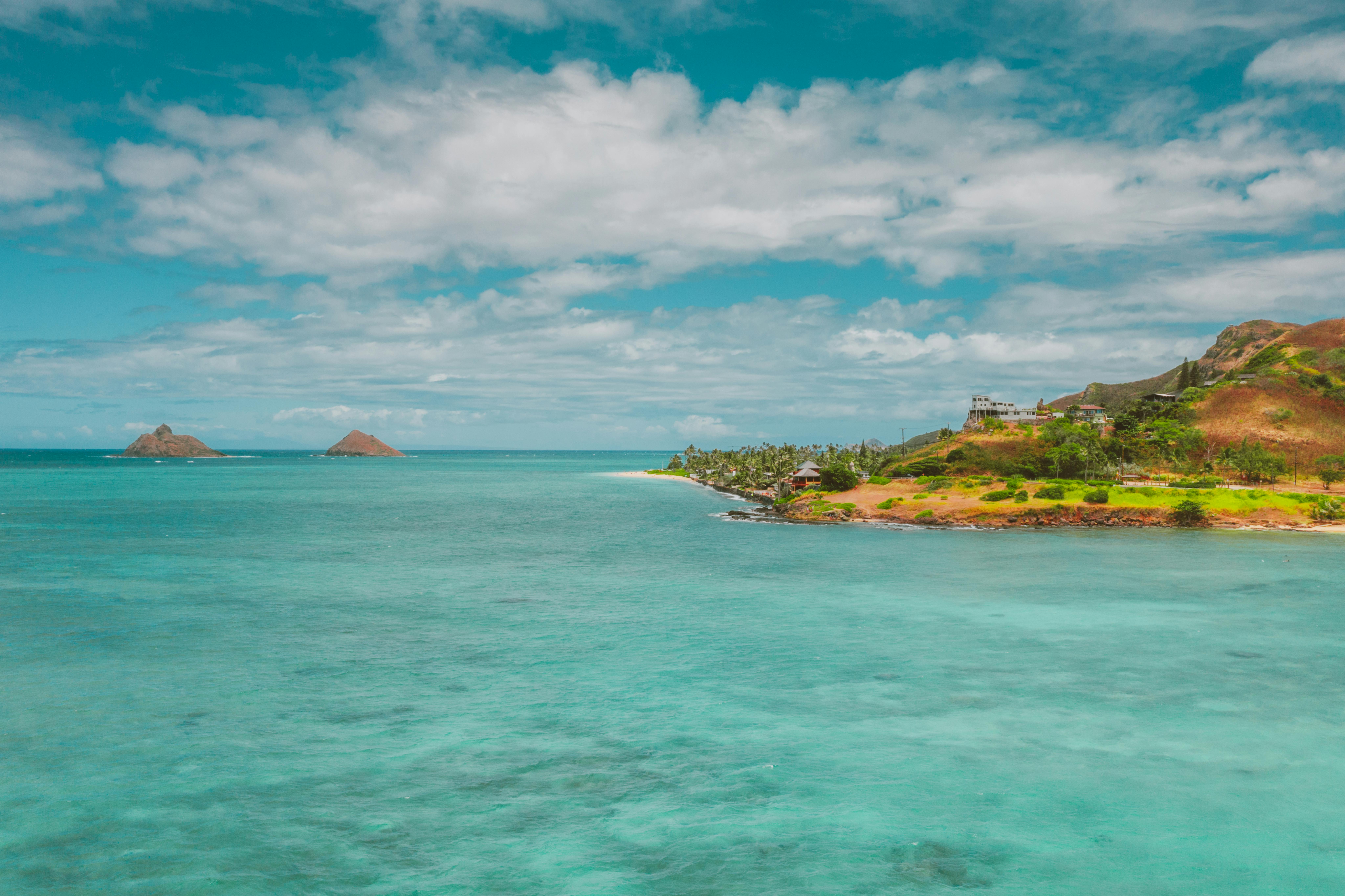Hawaii Island Seed Bank helps build climate resilience — Photo by Jess Loiterton on Pexels