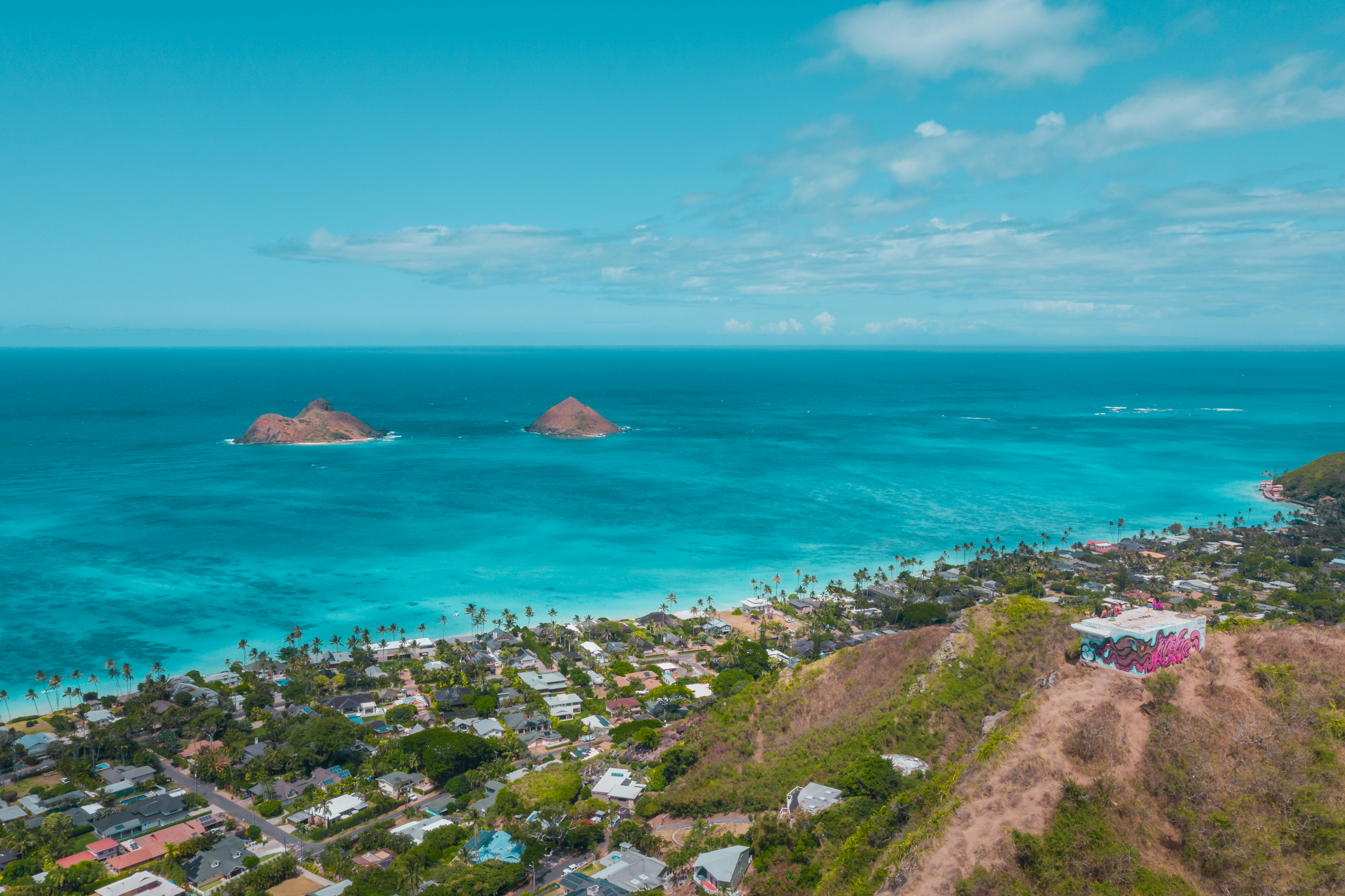 Hawaii Island Seed Bank helps build climate resilience - Hawaii Tribune — Photo by Jess Loiterton on Pexels
