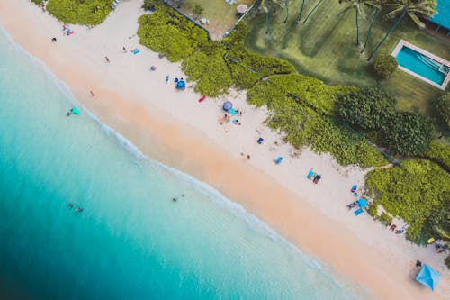 People on Beach Shore Near Green Grass