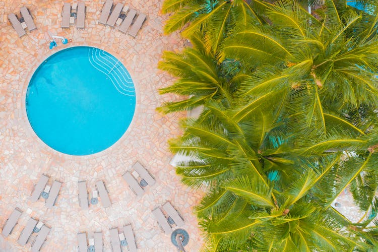 Sunbeds Arranged Around Circular Swimming Pool