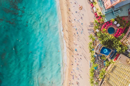 People on Beach Shore Near High Rise Buildings