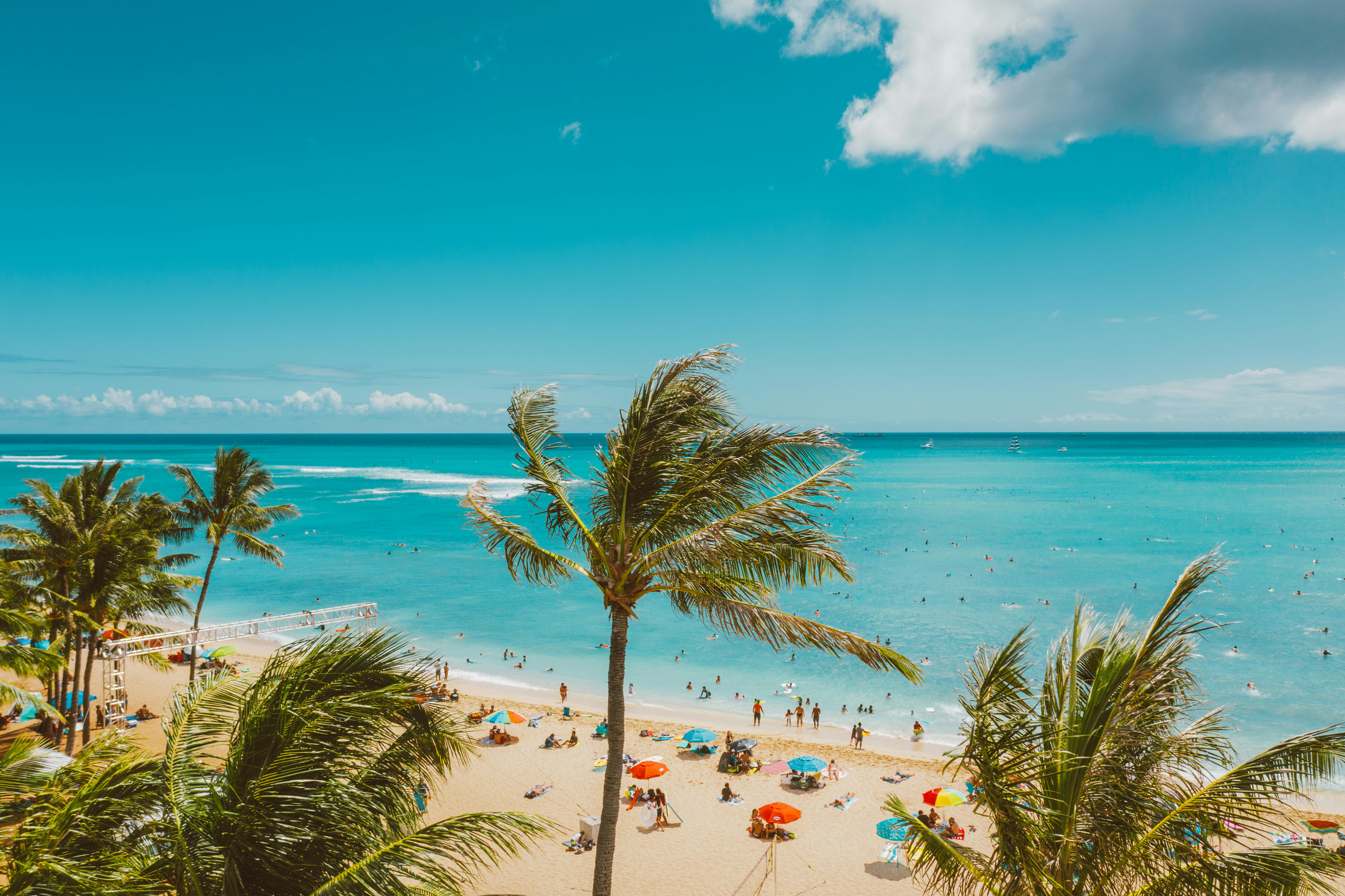 This Travel Trend Changed How I Vacation With My Family — Photo by Jess Loiterton on Pexels