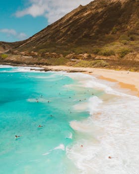 阳光明媚的海滩上，游泳者在绿松石般的海水和郁郁葱葱的背景映衬下，令人惊叹