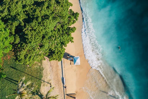 Foto d'estoc gratuïta de aigua, arbres verds, foto des d'un dron