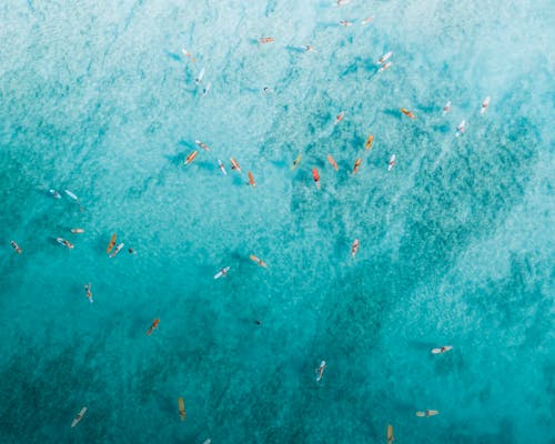 People Surfing on Sea