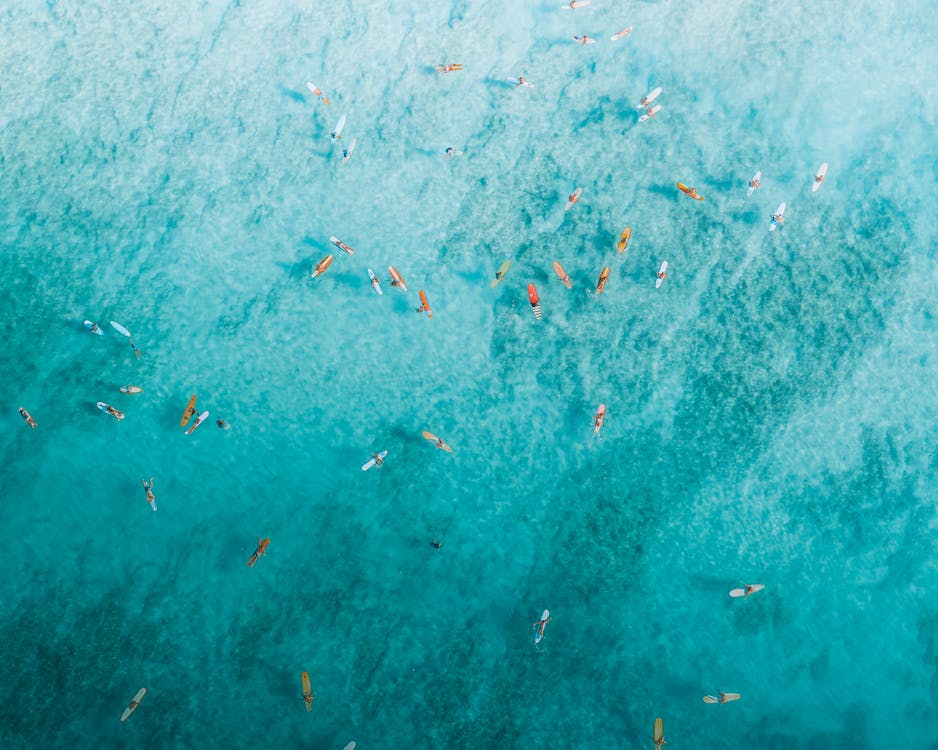 People Surfing on Sea