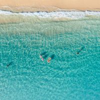 Aerial view of swimmers in turquoise water off a sandy beach, by Jess Loiterton on Pexels