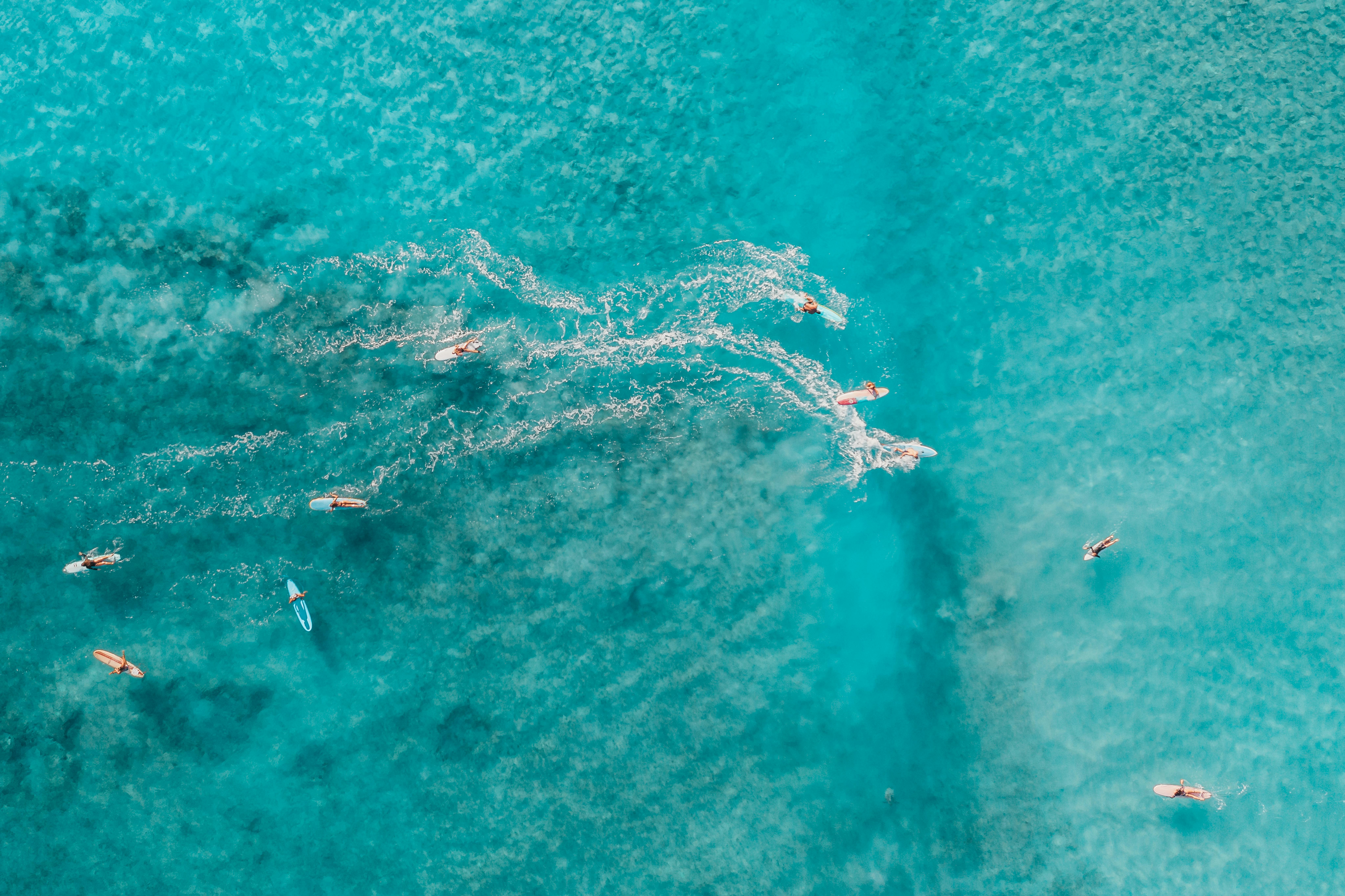 空中拍摄的冲浪者在绿松石水域中畅游，画面令人惊叹，展现了冒险与休闲的完美结合