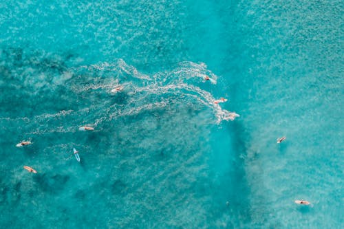 Aerial Photography of People Surfing on the Beach