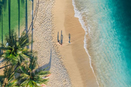Stunning aerial photo of a sandy beach with palm trees and gentle waves.
