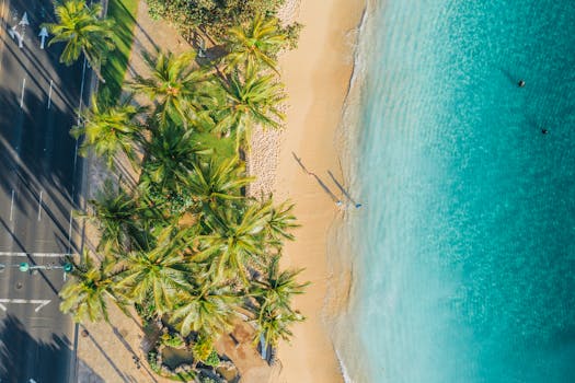A scenic aerial view of a sandy beach, palm trees, and turquoise ocean waters.