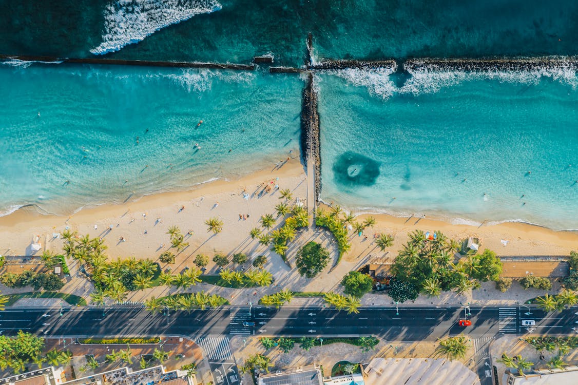 Aerial View of Beach Near Green Trees