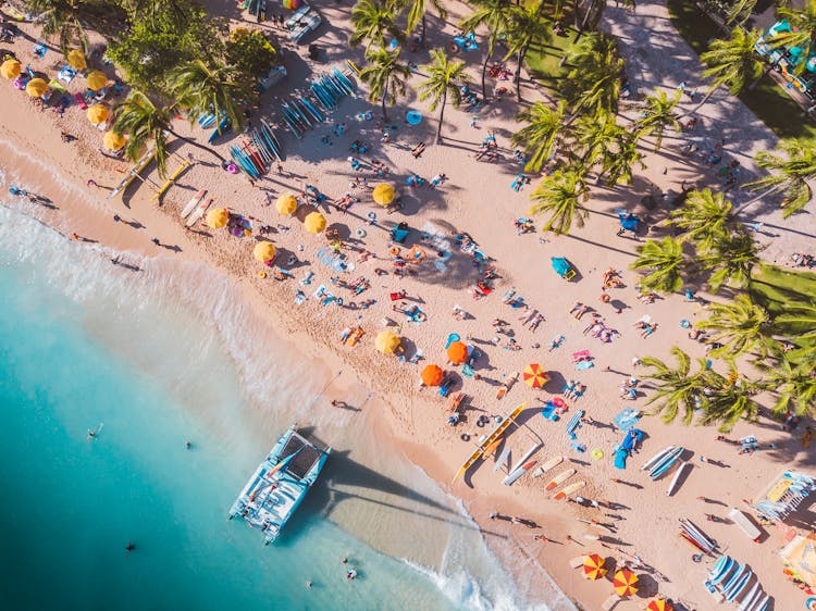 Aerial Photography Of People On The Beach