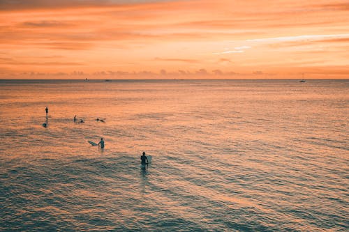 オレンジ色の空, サーフボード, ビーチの無料の写真素材