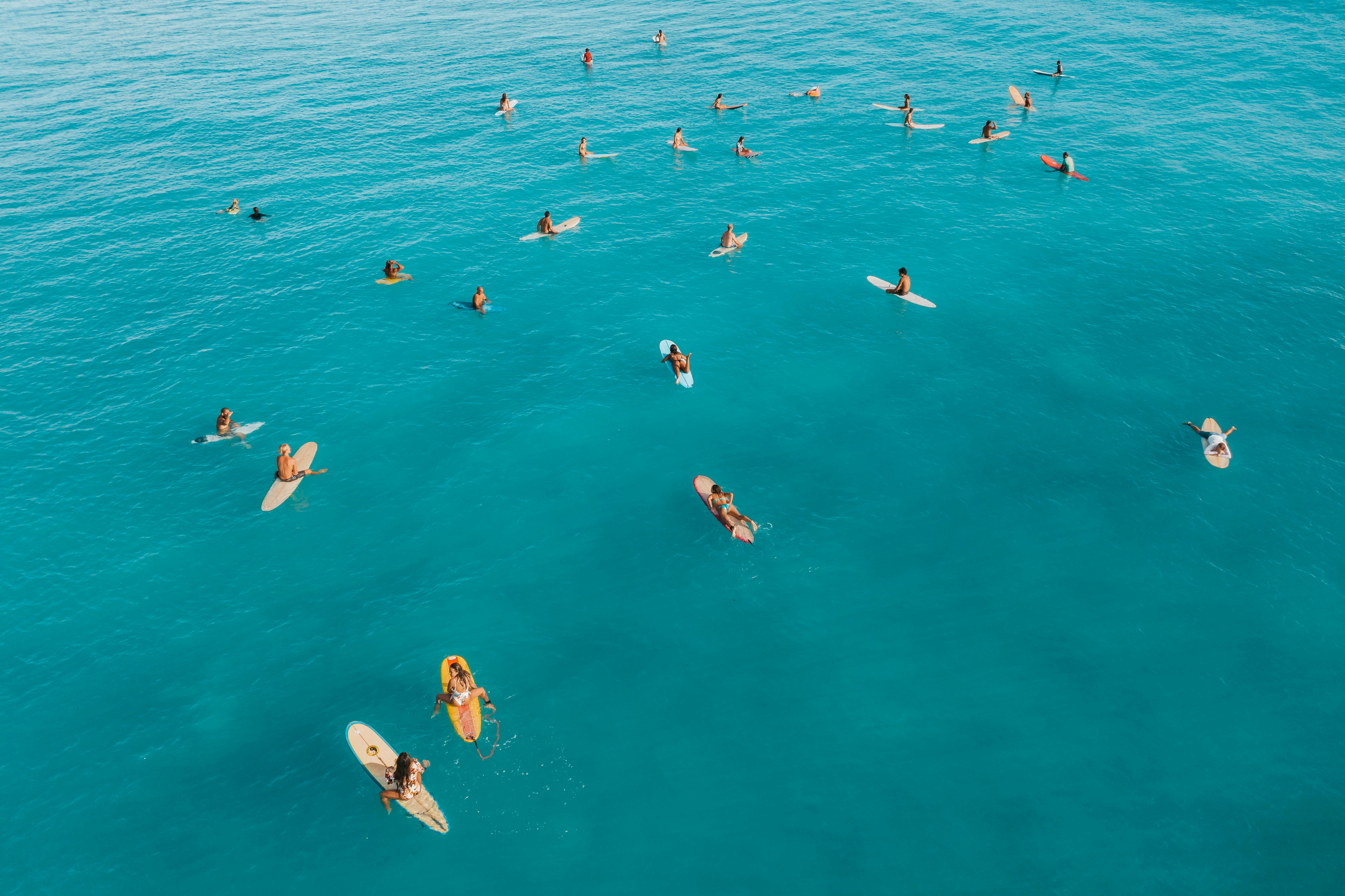 People Enjoying Personal Hobbies