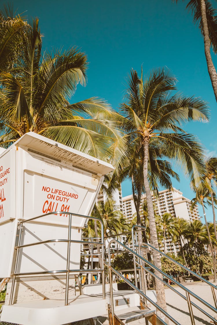 Lifeguard Station Near Palm Tears On The Shore