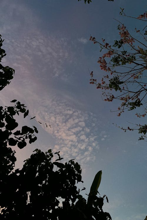 A View of the Sky from below