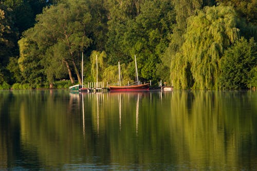 Ingyenes stockfotó fák, hajóm csónak, tó témában