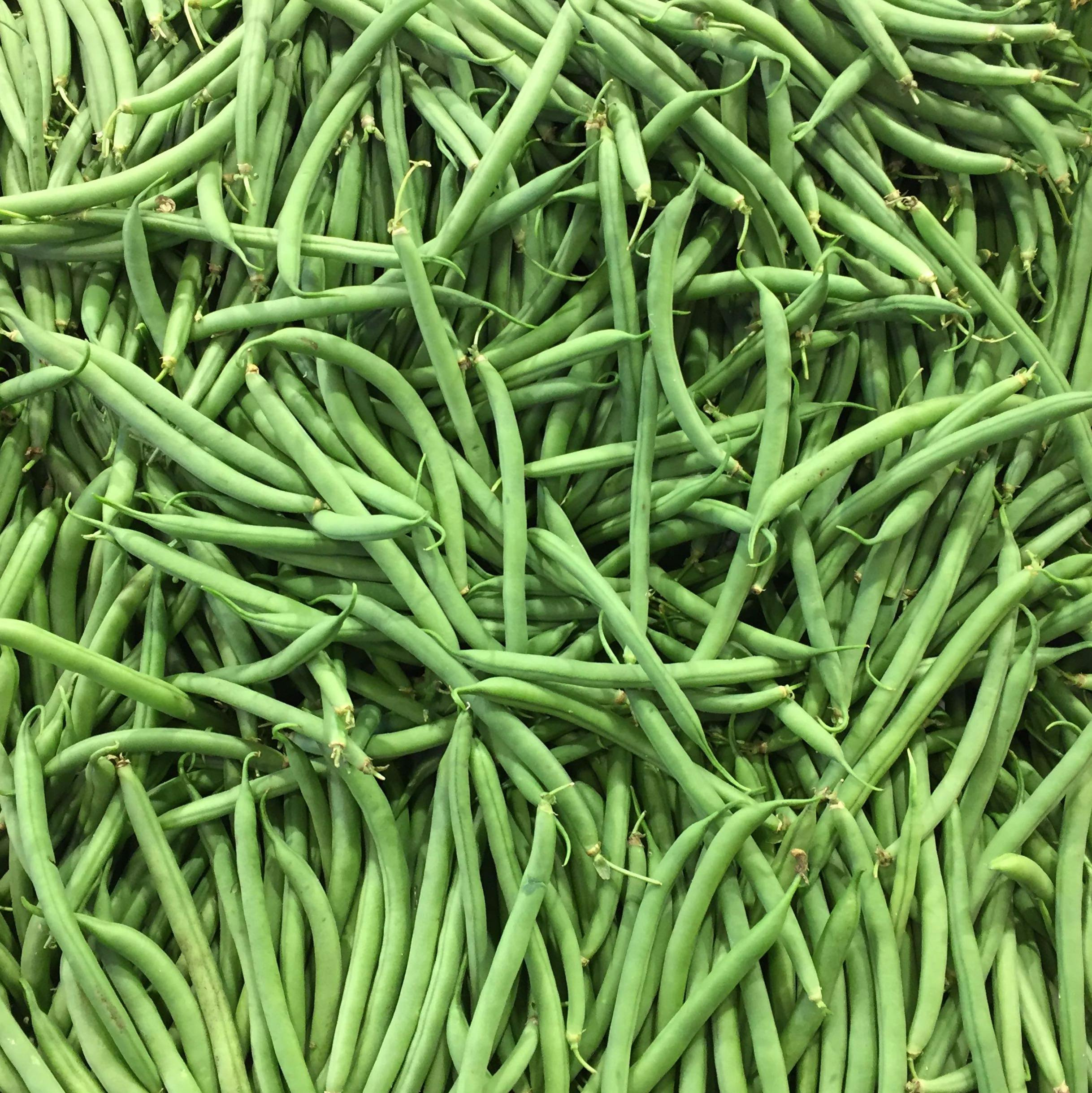 Free stock photo of french bean, fresh vegetable