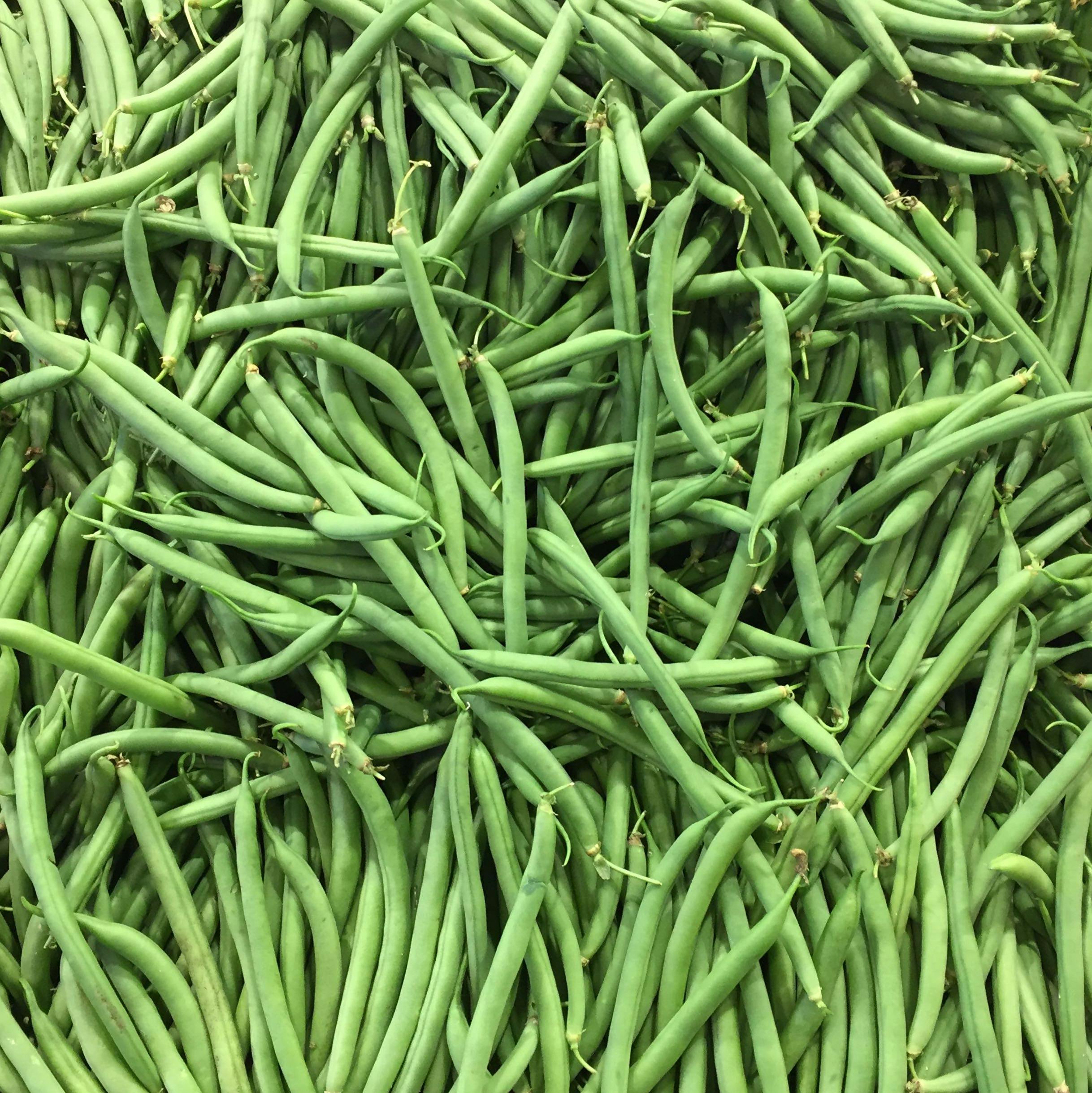 free-stock-photo-of-french-bean-fresh-vegetable