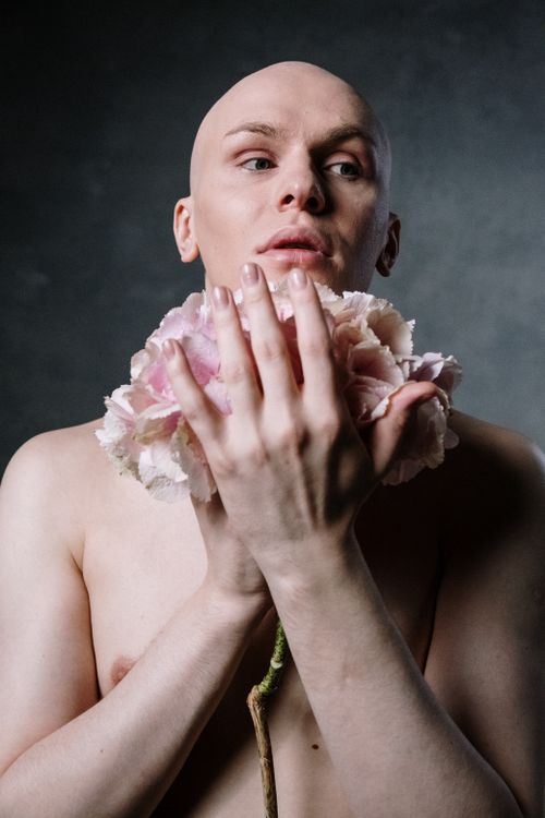 Free Close-up artistic portrait of bald man holding delicate pink flowers. Stock Photo