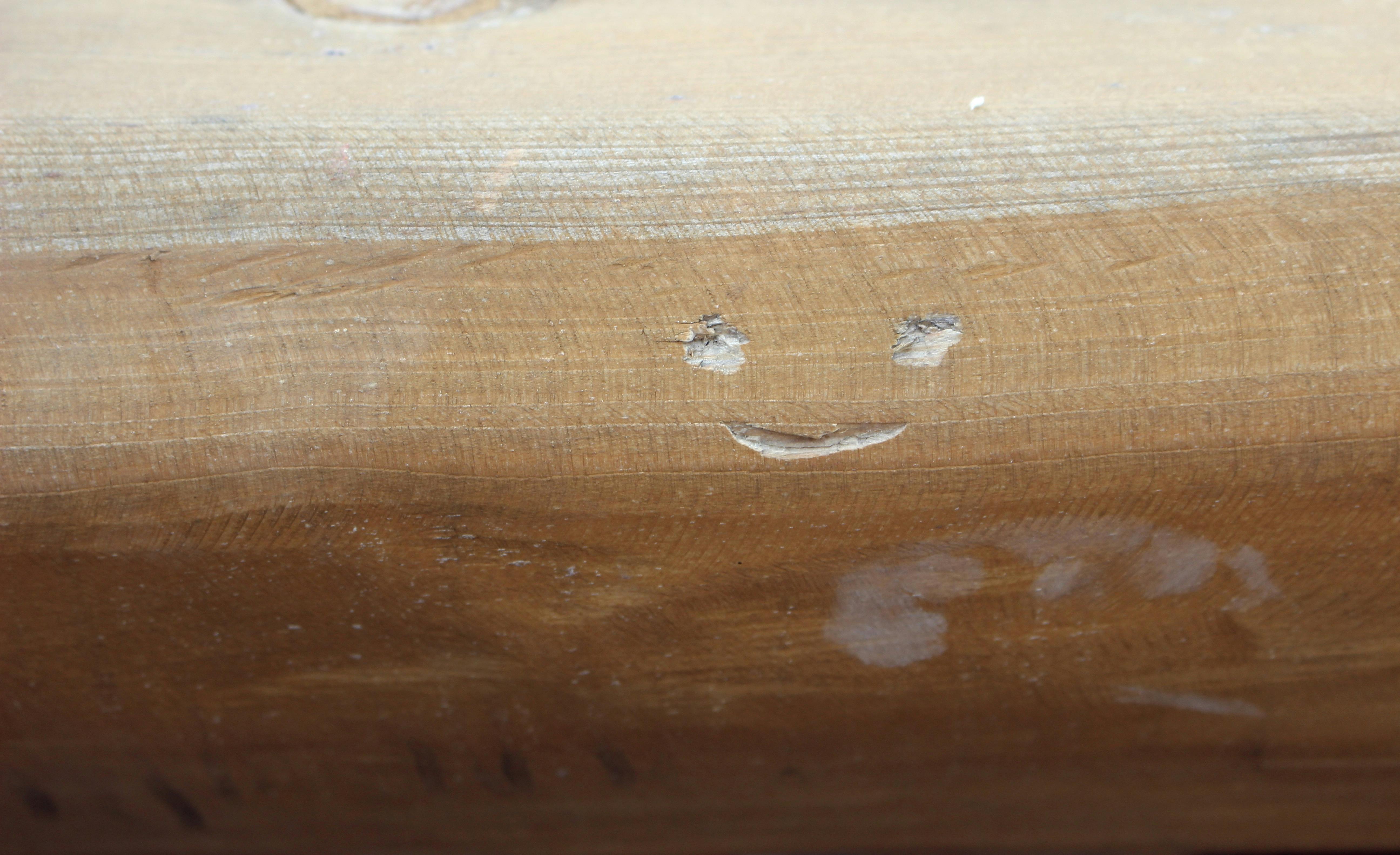 Free stock photo of nature, nature photography, smile