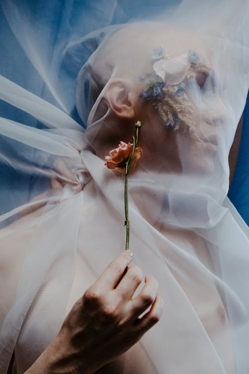 Free Woman in White Wedding Dress Holding White Rose Stock Photo